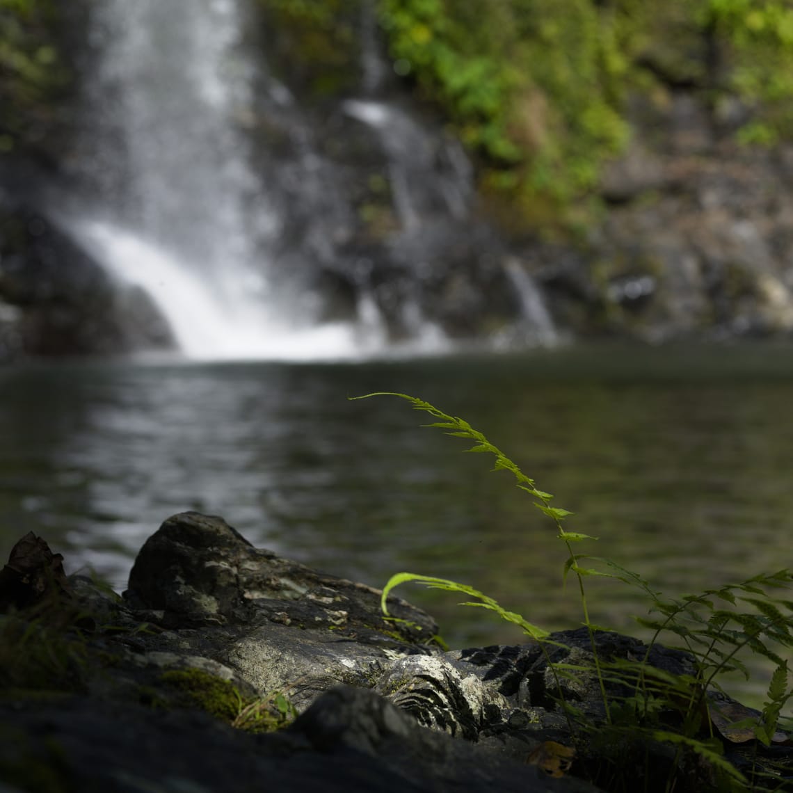 Waterfalls and boats