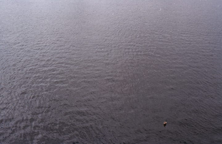 A styrofoam cup floats on black water.