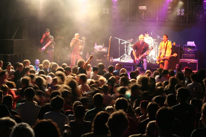 Circle Pit while Less Than Jake perform