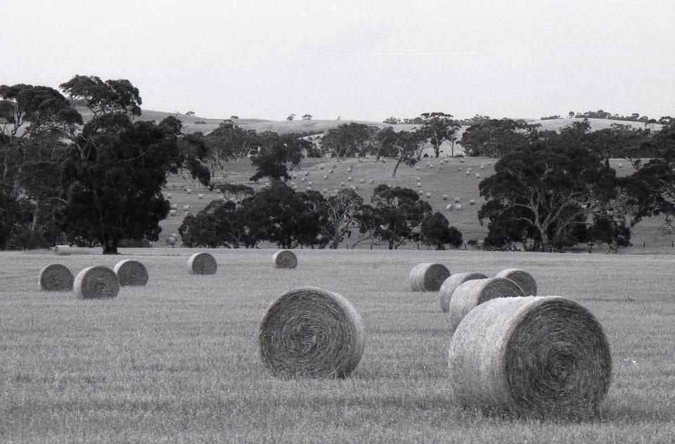 Hay Season
