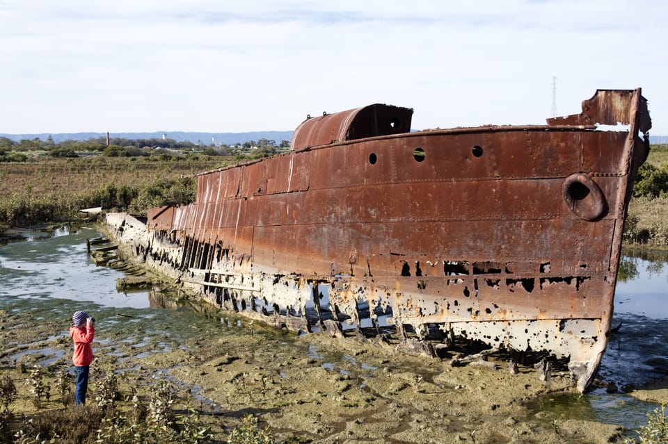 The MV Excelsior